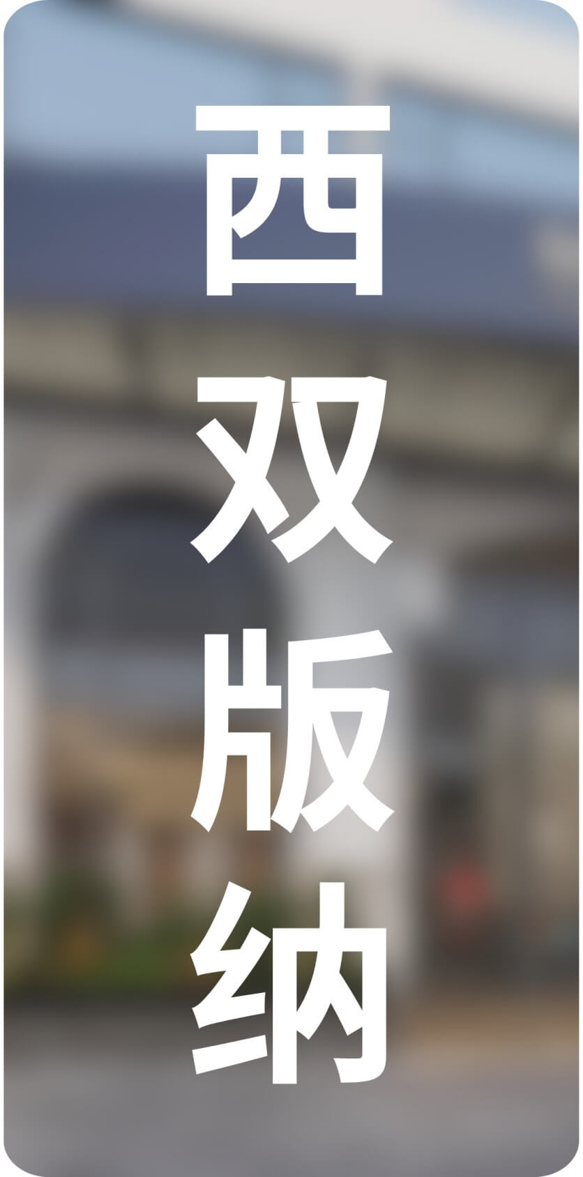 城市